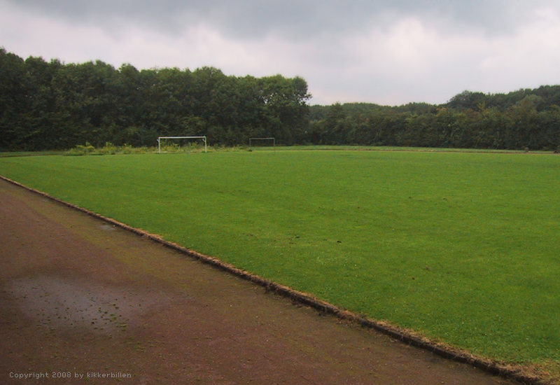 080909_kikkerbillen.jpg